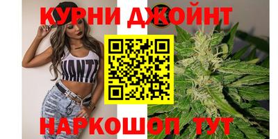 сатива Железногорск