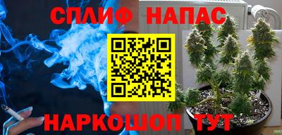 сатива Железногорск