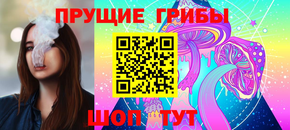Псилоцибиновые грибы прущие грибы Губкин